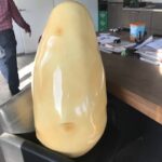 Grote aardappel 90cm